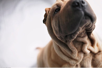 哔哩哔哩高清直播频道推荐｜畅游哔哩哔哩，尽享高清游戏直播盛宴-2