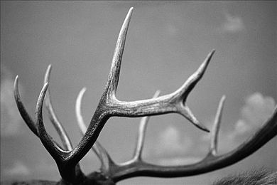 红桃视频隐藏入口｜红桃秘境：探索独家影视，畅享互动观影之旅-2