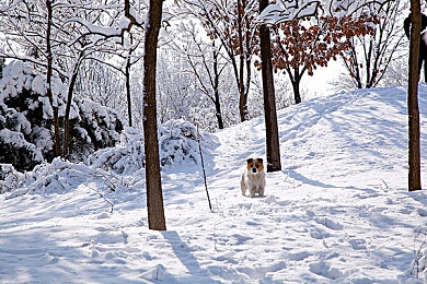 汤不热视频.apk.1|汤不热视频,海量高清,个性化推荐,畅享视听盛宴-3
