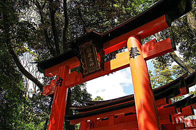 黄软件免费下载3.0.3每天无限次|黄软件3.0.3版免费不限次下载引热议,行业竞争加剧用户体验升级-3