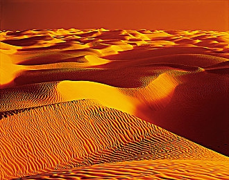 妈妈用手指在狗儿后背写字｜指尖传情，母爱犬意，温暖瞬间感动万千网友-2