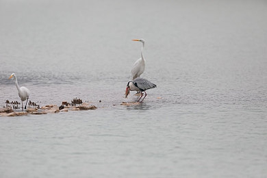 好、色、先、生、丅V|直播风暴:净化道德底线,共创清朗环境-4