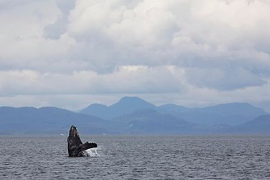 中国体育生男自慰|竞技巅峰:自慰秘技助你突破极限-2