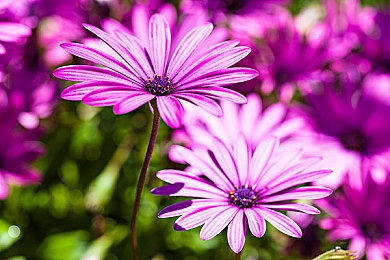 亚洲精品久久久www游戏特点｜转型中的游戏平台，“亚洲精品久久久www”引领新潮流-3