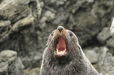 冰块加牛奶加酒精｜探寻经典鸡尾酒秘籍：冰块、牛奶与酒精的完美邂逅-5