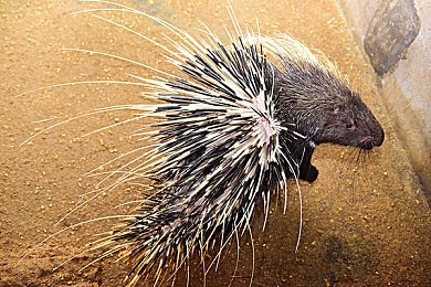 搞笑time的恶机软件直接打开|“恶搞软件“搞笑time”走红网络,引发社会关注与反思,监管亟待加强-4