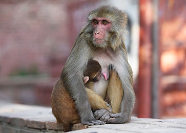 美国windows野外|美国Windows野外探险之旅:穿越时空的石窗奇境-1