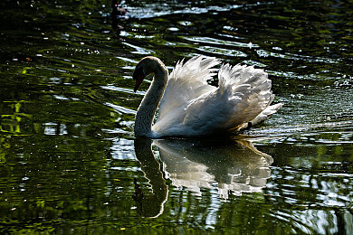 九九只有精品｜匠心独运，九九精品铸就市场传奇-3