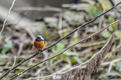 黄色TV｜“揭秘‘黄色TV’传播风波：网络监管新挑战与应对策略全解析”-3