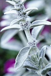 激情综合五月｜五月激情盛事，文化体育科技齐绽放-3