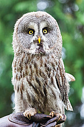 lutube轻量版下载 ios下载|Lutube轻量版iOS下载:节省空间,流畅体验,短视频爱好者必备-3