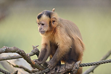 三上和结成演过的作品｜经典合作再现，三上和结成演绎情感瑰宝之旅-5