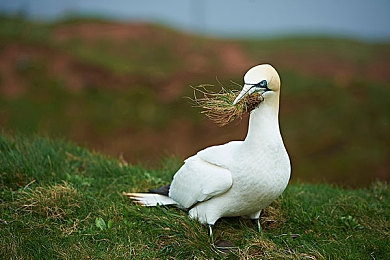 黄色网址入口｜“重拳出击！我国专项整治‘黄色网址入口’，网络环境明显改善，网民安全感提升”-2