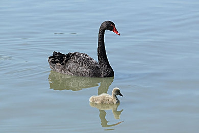 精品无人乱码一区二区三区｜无人机赋能城市管理新方式让生活更加智能化-5