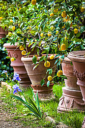 动漫 无尽 得到 向上 精灵｜探索动漫魅力，快乐精灵陪伴：“动漫无尽得到向上精灵”带你畅游欢乐动漫世界-4