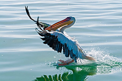 黄色应用3.0.3｜“黄色应用3.0.3”遭封禁，网络安全监管升级，共筑清朗网络空间-3