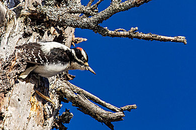 黄色软件app下载3.0.3免费装妆｜美妆游戏免费体验，打造时尚风格，黄色软件app轻松装妆-3