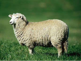 三个老头拥着躁我一晚｜深夜围攻事件震惊社会：女子遭三名老年男子围攻，警方迅速介入，呼吁关注老年人心理健康