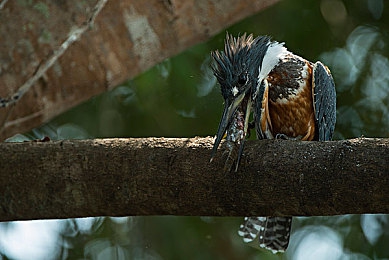 女友的继牳5|智能伴侣“女友的继牳5”:互动娱乐,生活新篇章-3