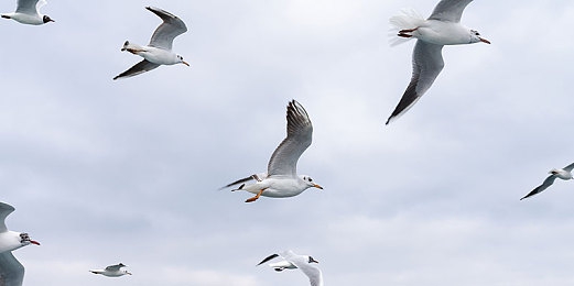 白丝脚上的浓浓的精华液能用吗｜脚部呵护之旅，白丝精华液守护健康每一步-4