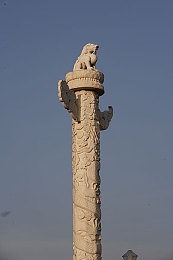 罗宾帮助乔巴排毒素妖精|医术奇缘:罗宾解毒传奇之旅-2