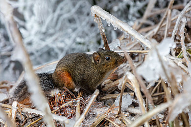 芭乐视app下载安装旧版本|“重温经典,芭乐视旧版下载攻略引热议”-2