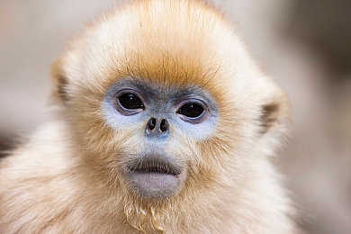 被老板扒下内裤猛烈进入|职场性骚扰极端案例:老板扒内裤事件震惊职场伦理边界-1