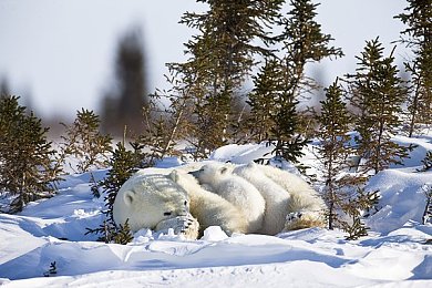 男女打扑克差差差app｜性别牌技差异，趣味挑战新体验-4