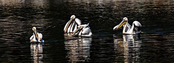 揉我胸 啊 嗯出水了描述｜网络侮辱视频引发热议，网络暴力与性别歧视问题再引关注-4