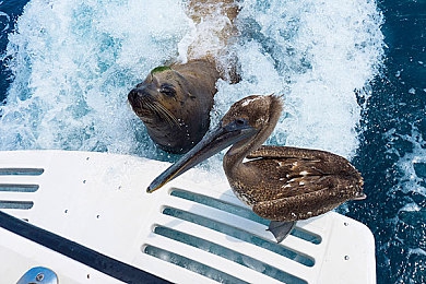 六月婷婷五月丁香｜五月丁香映六月，文化盛宴耀古城-3