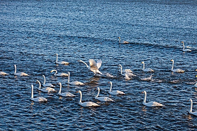 中国20岁小伙男男Gay网站｜网络净化行动：20岁小伙涉嫌违法，社会呼吁加强监管-4