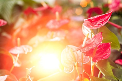 西方47417大但人文艺术作品｜艺术瑰宝之旅：探寻47417大但人文艺术杰作-3