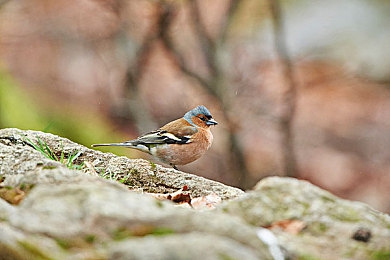 青草社区｜“绿色家园新典范，青草社区居民幸福感倍增：宜居宜业生活新体验”-5