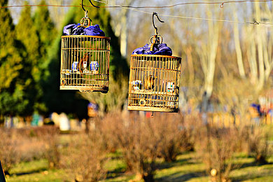 朋友换娶妻后的生活变化笆比娃娃｜智能伴侣笆比娃娃，生活惊喜每一天-4