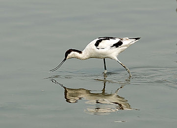 男同视频软件｜男同视频软件兴起：社交新平台引发社会争议与多元思考-2