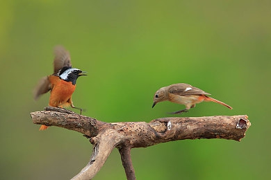 144447大但人文艺术照|穿越光影,心灵共鸣的144447大人文摄影之旅-4