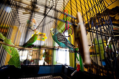 男男GaYGAYS 免费做污｜“道德底线警钟长鸣：网络社交平台监管新篇章”-2