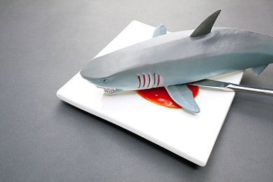 麻豆传媒李蓉蓉｜网络时代自我表达的挑战与启示-5