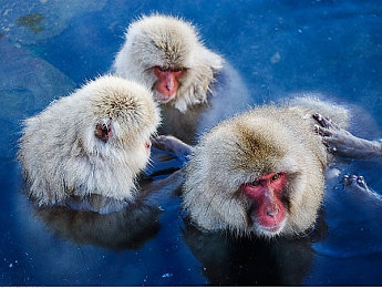 火影忍者成人游戏18｜火影激情演绎：成人游戏版，全新视觉感官盛宴-3