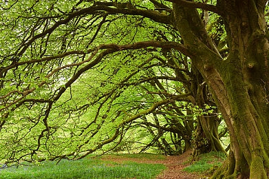 吃瓜群众网cgfun|网罗娱乐圈,吃瓜群众共探娱乐真相-1