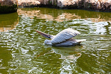 69夫妻乐园改名后最新消息|乐享天地焕新启航,开启娱乐新纪元-3