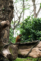 718.sx吃瓜爆料｜娱乐圈探秘窗口：718.sx吃瓜爆料，揭幕幕后与正能量-3