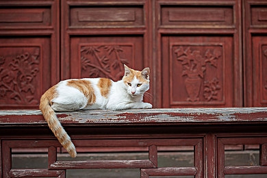 秀色直播APP｜秀色直播盛宴，互动畅玩新体验-4