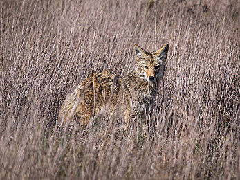 免费看拔萝卜不盖被子视频的应用｜轻松搞笑，互动无限，畅享“拔萝卜不盖被子”视频盛宴-4