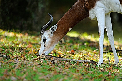 汤姆温馨提示30秒中转｜“地铁公交无缝对接，汤姆30秒中转术助你高效出行”