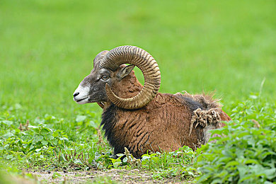 18 视频   动漫软件｜动漫盛宴，18视频畅享无限精彩-3