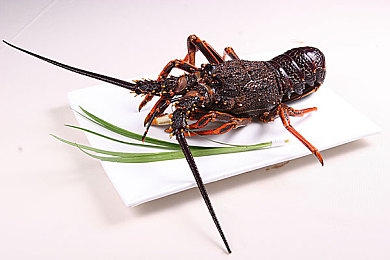 揉我胸 啊 嗯～流水了剧本｜趣味剧本互动新体验：“揉我胸 啊 嗯～流水了”带你轻松笑出声-3