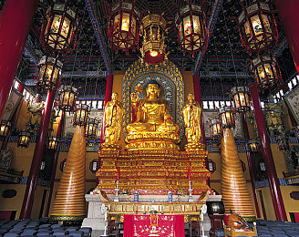 新版猫社区登录入口|猫社区焕新登录体验,个性化推荐引领社交新潮流-3