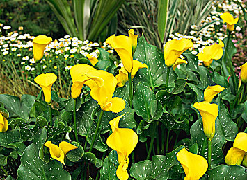 男生和女生一起差差差｜破茧成蝶：共筑青春价值观，破解“男生女生差差差”之谜