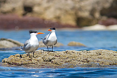 爱情岛论坛独家提供｜探索现代爱情与幸福选择的全新游戏-5